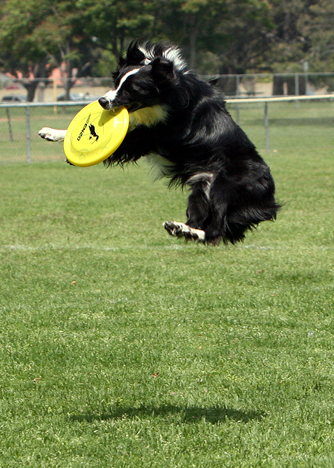 2008.May10.Skyhoundz.863