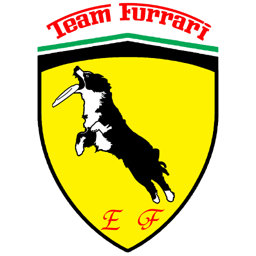 team furrari mediium