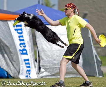 skyhoundz se reg 2011 (small)